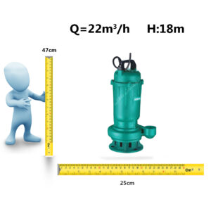 Pump-Lajankesh-2inch-Shimge-WQD6-5